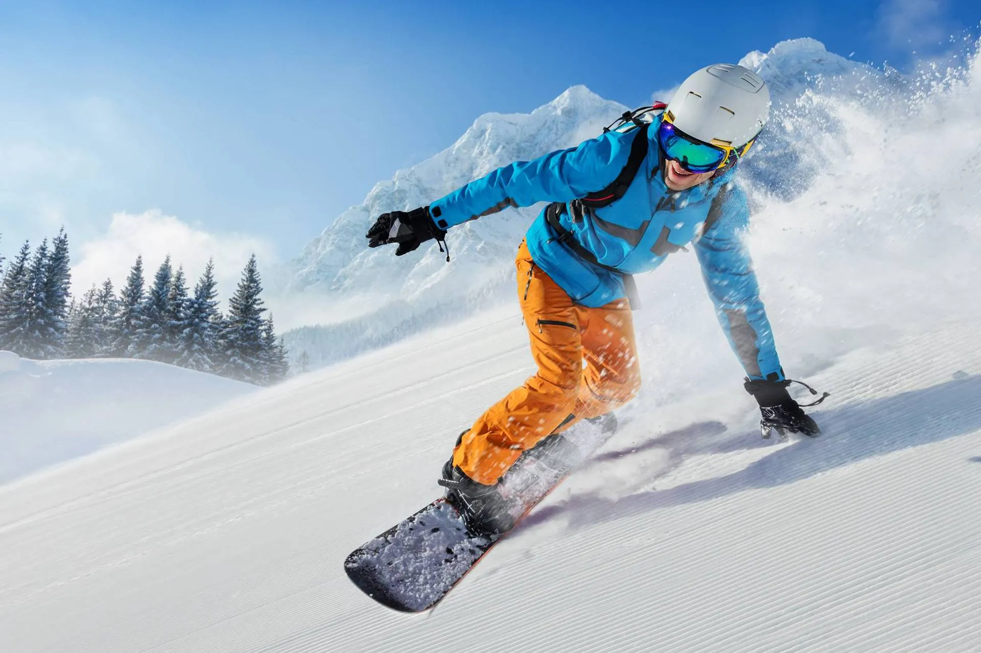 asdas
